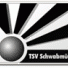 TSV施瓦布队标,TSV施瓦布图片